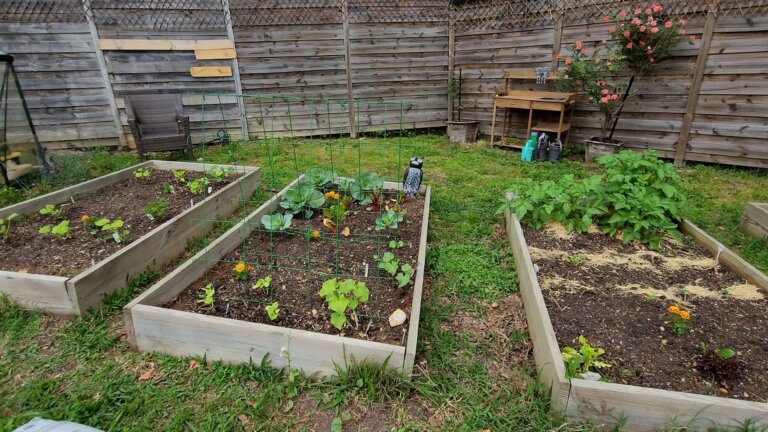 free garden planning tips for gardening in raised beds